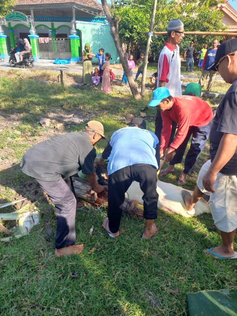 SISTEM GOTONG ROYONG DALAM PROSES PENYEMBELIHAN DAN PEMBAGIAN DAGING KURBAN