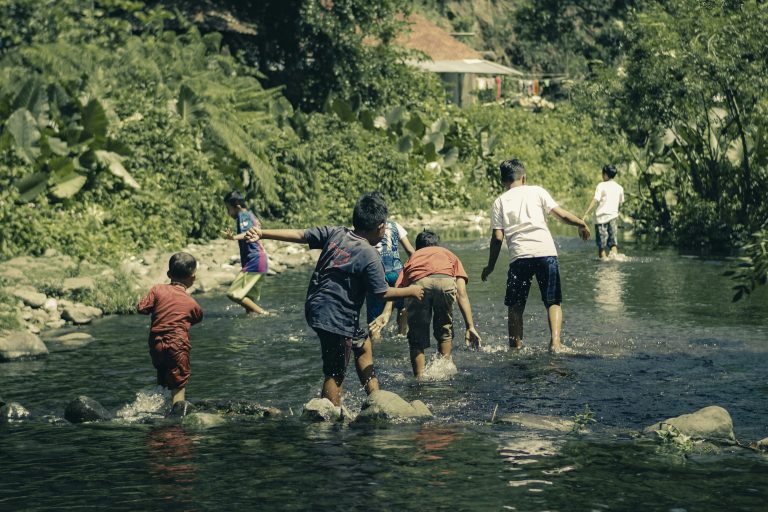 Optimalisasi Pemanfaatan Potensi Lokal untuk Meningkatkan Taraf Ekonomi Masyarakat Kelurahan Wonosari Kota Semarang melalui Metode PAR (Participation Action Research) dan Paradigma Fungsional